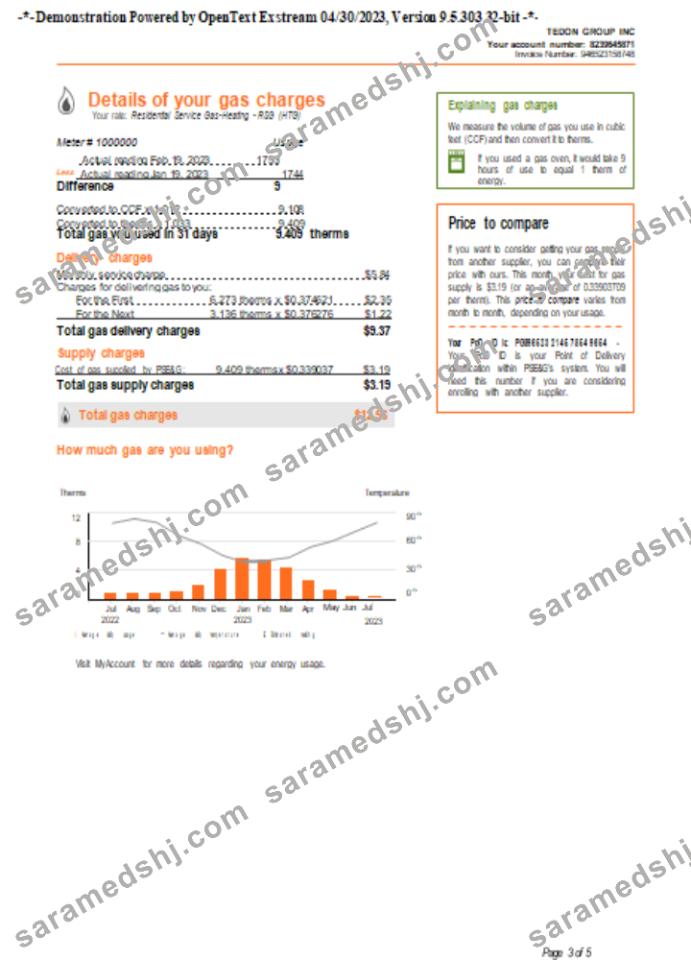 New York PSEG utility business bill, page 3,SCR